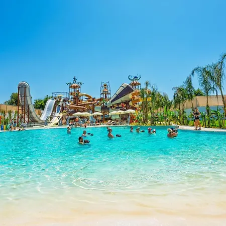 Sy Belek